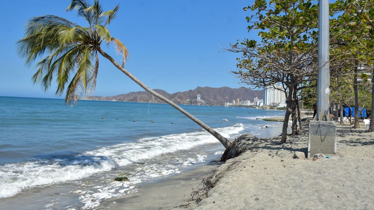 Solución a erosión costera en Playa Salguero parece tener luz verde