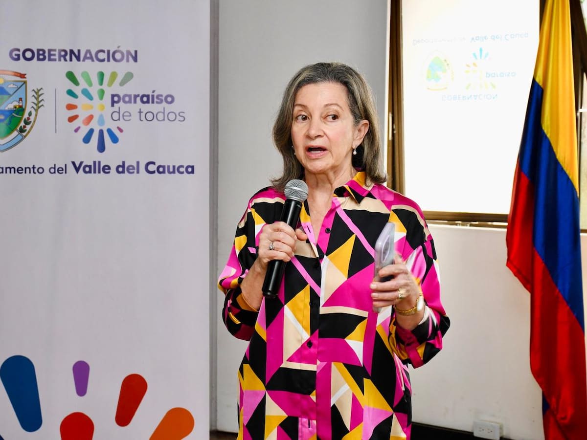 El Valle pide que se discrimine en qué se han invertido los recursos del Ministerio de Salud