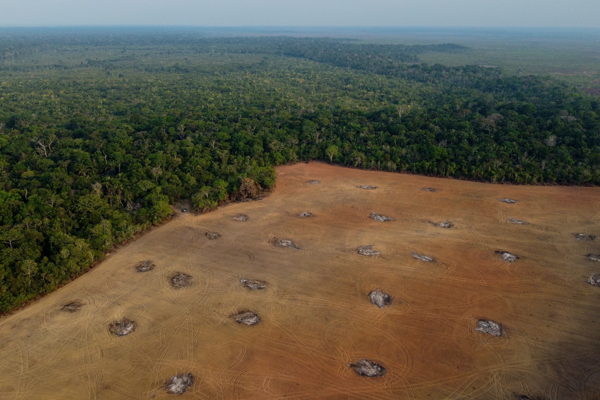 Deforestación en Brasil.
(Foto:  MICHAEL DANTAS/AFP via Getty Images)