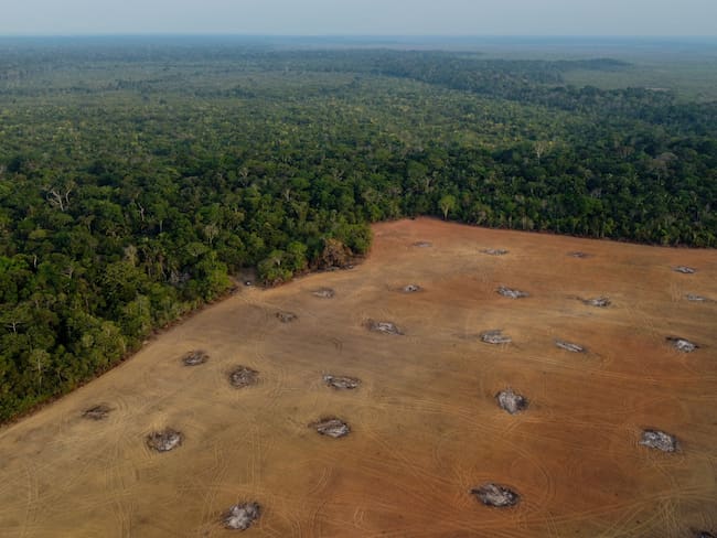Deforestación en Brasil.
(Foto:  MICHAEL DANTAS/AFP via Getty Images)