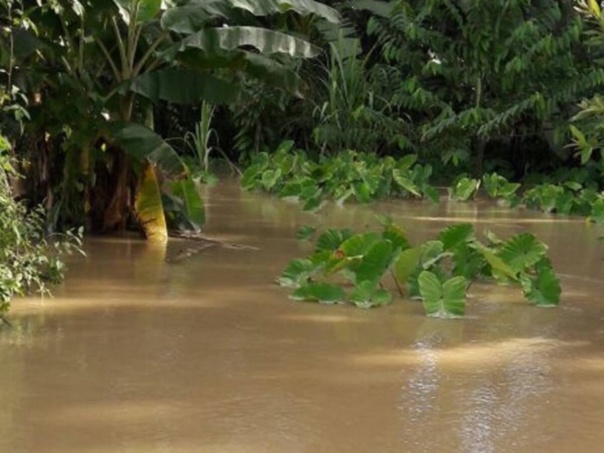 Desaparecen dos niños cerca del río Timbiquí en el Cauca