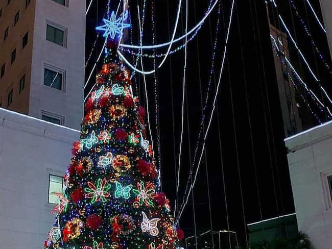 Por escasez de andamios no encendieron árbol de Navidad