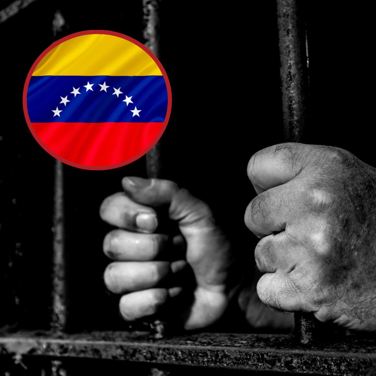 ONG han verificado la excarcelación de 13 presos políticos extranjeros en Venezuela