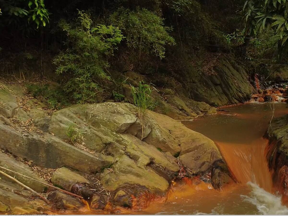 Lo que más genera contaminación al río Cali son las aguas residuales de Montebello, sostiene CVC