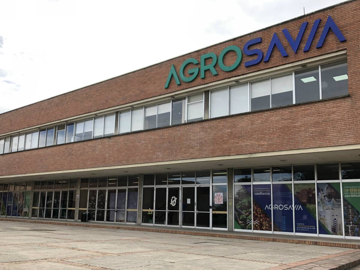 ¿En riesgo más de 600 empleos en Agrosavia?