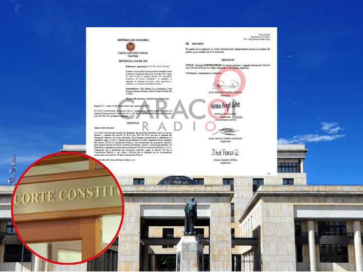 Sentencia del fallo emitido por la Corte Constitucional