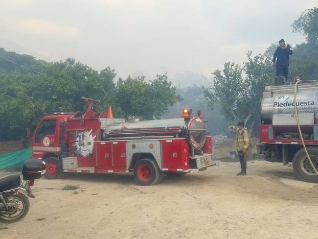 Reaparecen incendios forestales en el área Metropolitana