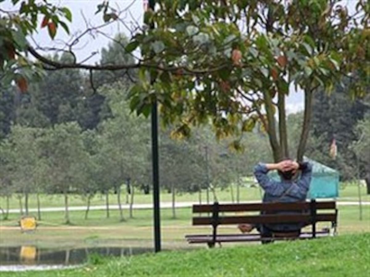 Solo 2 de 5 parques se terminaron con recursos de la I fase de valorización