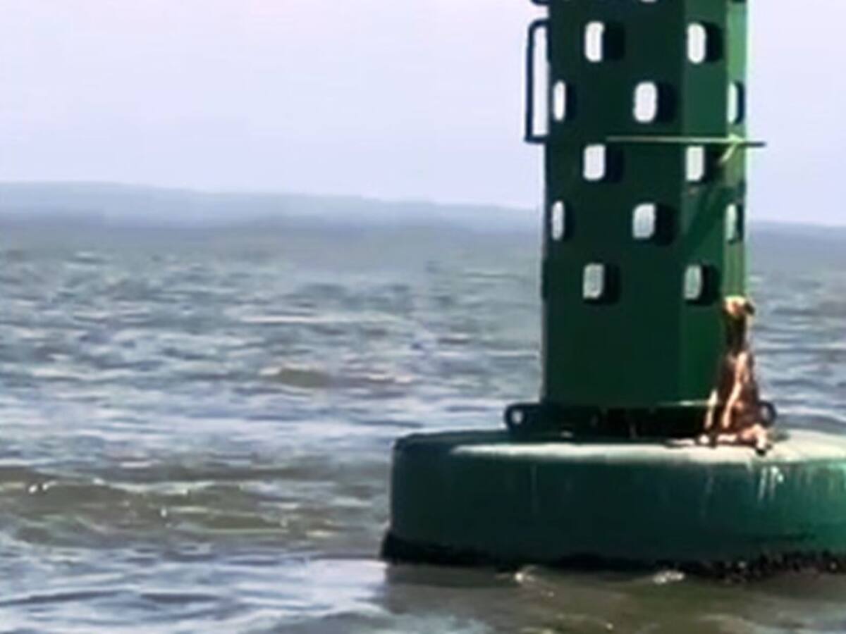 Aberrante caso de maltrato animal registrado en la bahía de Cartagena