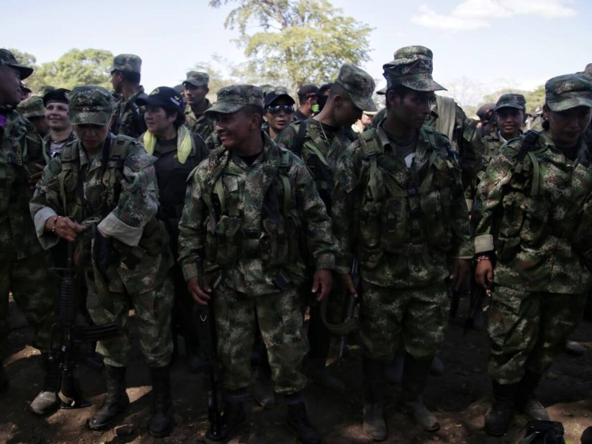 Gobierno y Farc revisarán avances de la reincorporación