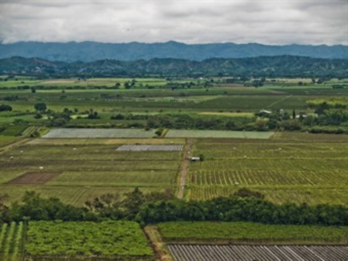 Así ha vivido Pradera la presencia de las Farc por décadas