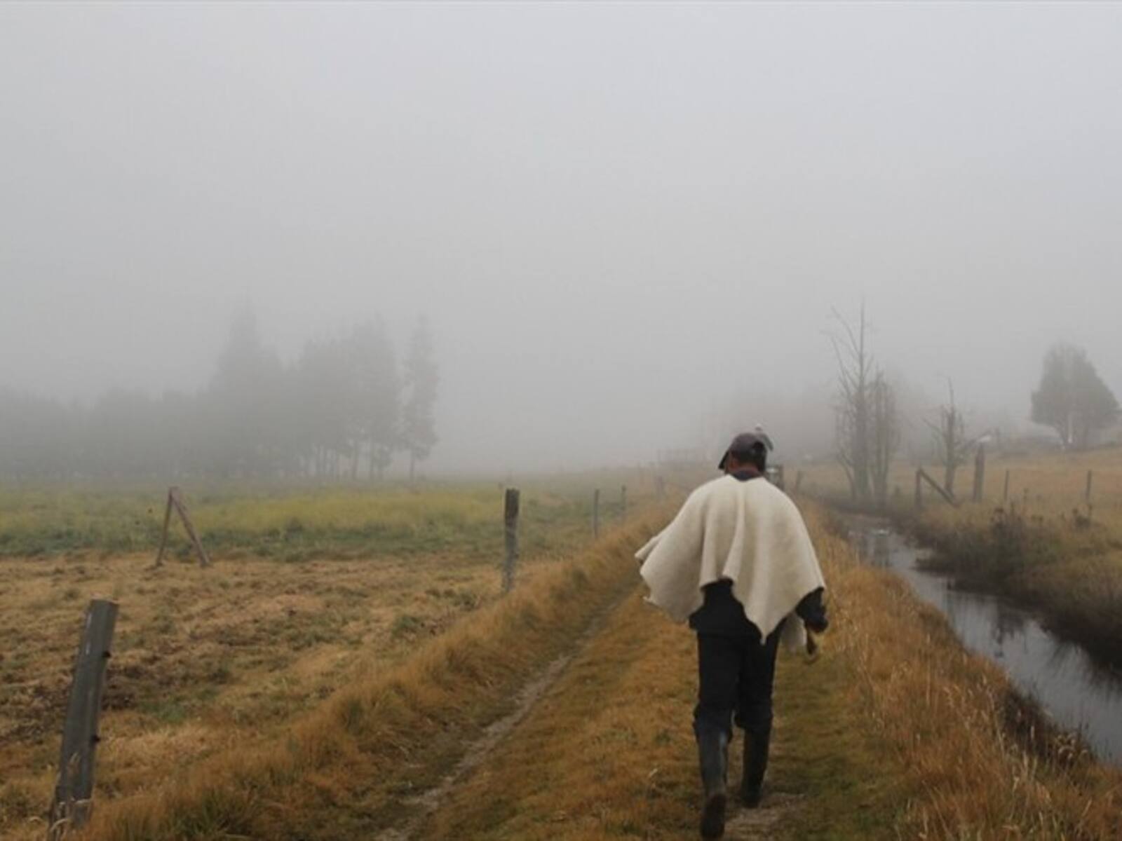 La Secretaría de Agricultura de Boyacá implementa medidas preventivas y de recuperación ante los daños causados por las heladas en más de 4 provincias