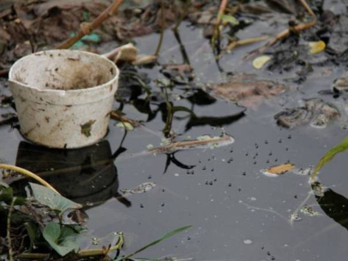 Investigan casos de zika al parecer asociados al síndrome de Guillain Barré