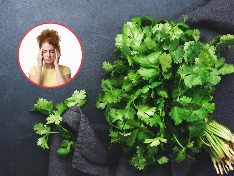 Persona con dolor de cabeza y de fondo varias ramas de cilantro (Fotos vía Getty Images)