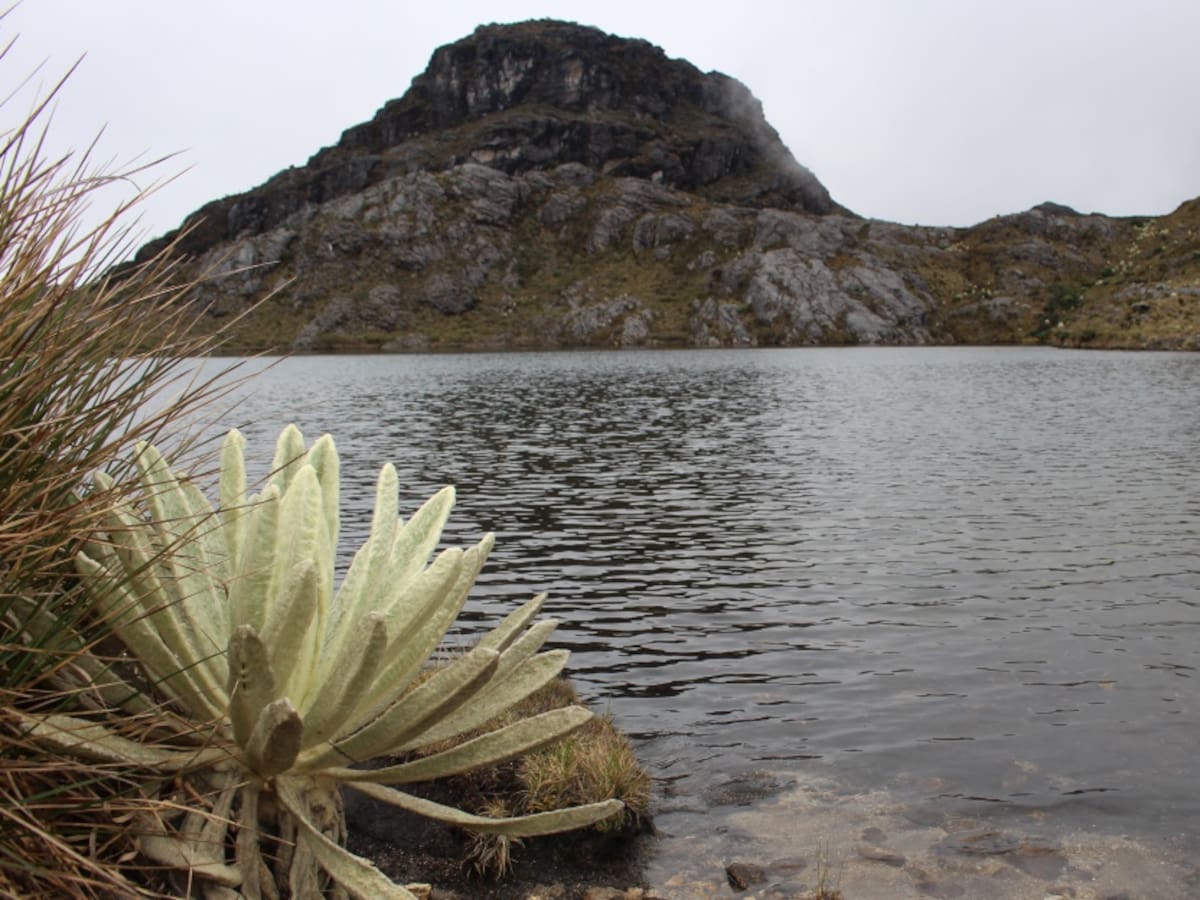 Revocatoria de protección en área de Santurbán enfrenta a defensores del agua y comunidades mineras