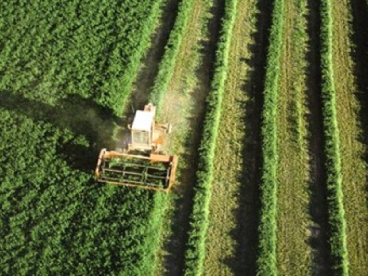Proponen impuesto a bancos para salvar sector agrario
