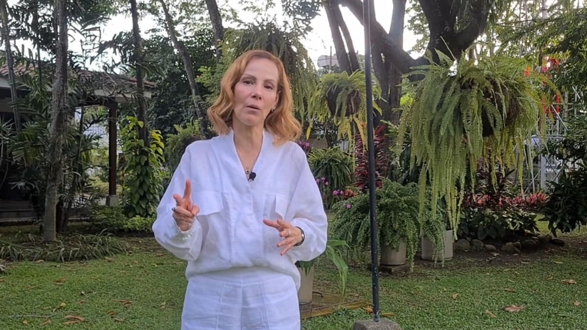 Sector azucarero cierra 2024 con cifras positivas, pero alerta sobre importaciones y seguridad