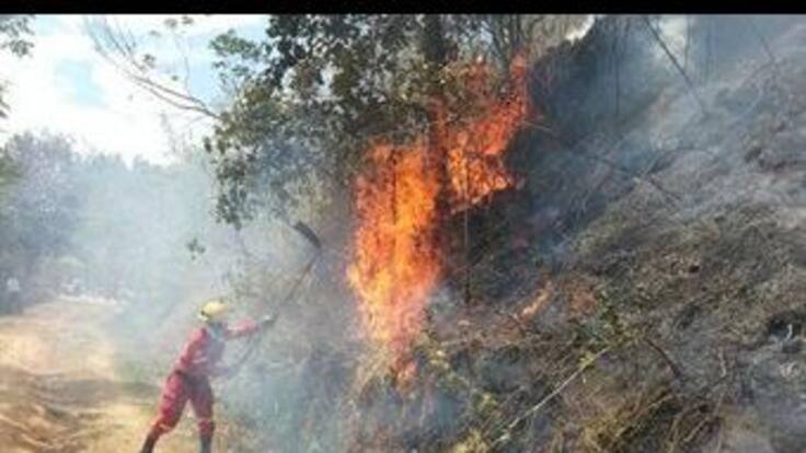 La mitad del país sin cuerpo de Bomberos para atender emergencias