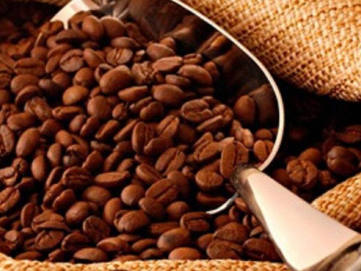 En 3 meses podrá recuperarse la exportación de café en el país