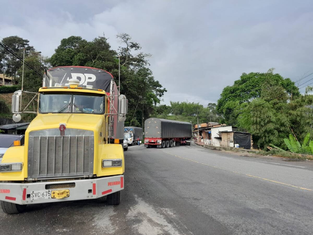 Transportadores del Tolima retoman viajes a zonas donde había bloqueos