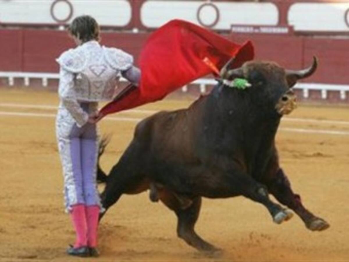 Convocan protesta porque las corridas de toros vuelvan al Santamaría