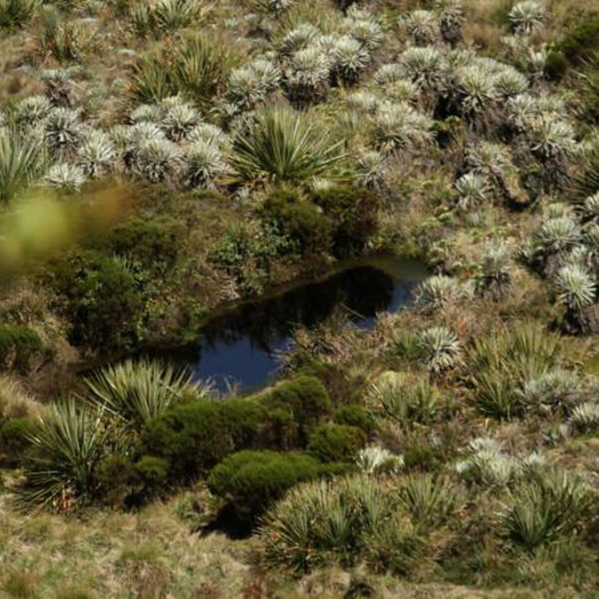 Ministros estarán en Gámeza para socializar delimitación de Páramo de Pisba