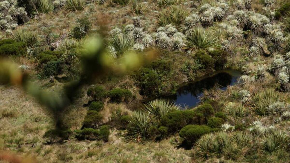 Así se realizará la reunión de tres ministros y comunidades en Gámeza