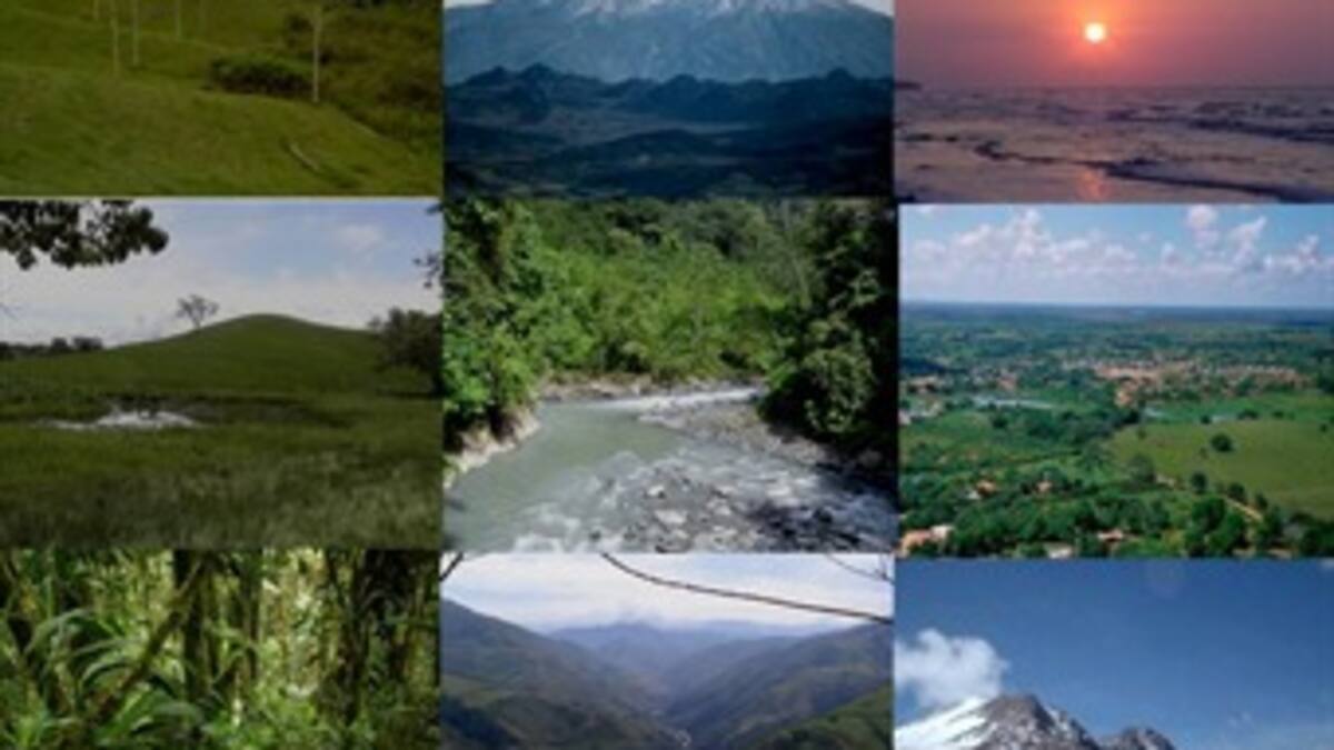 Ambiciosa política medioambiental de importante universidad en colombia.