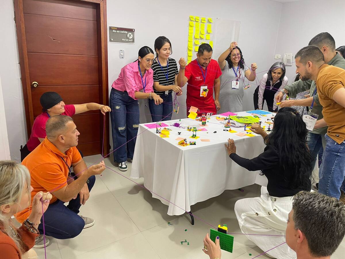 Suspenden por 90 días la emisión de recursos para el proyecto DOMES