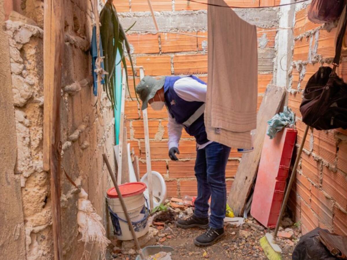 En Cartagena más de 5.000 viviendas fumigadas contra el dengue