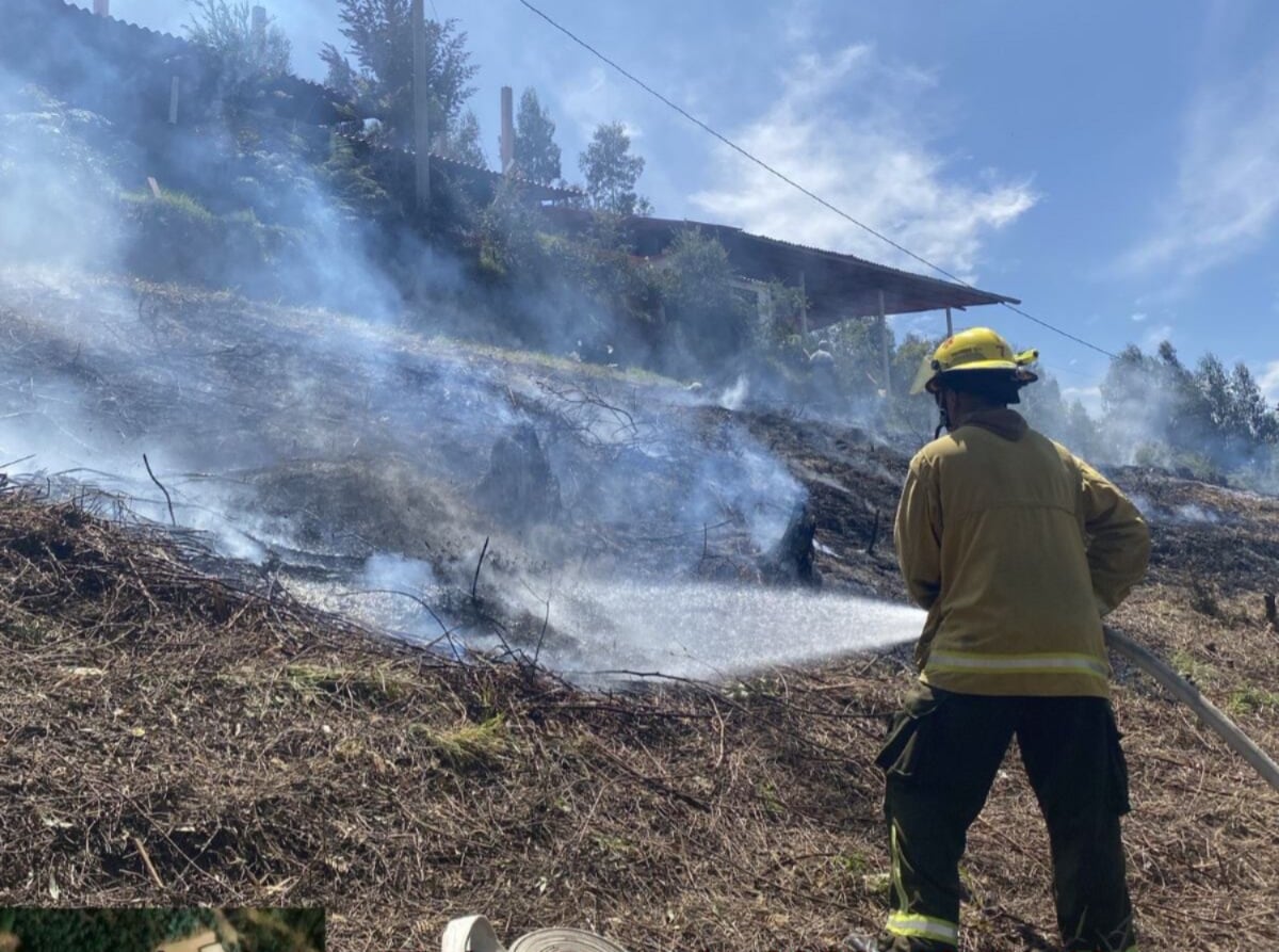 Los incendios forestales han afectado 44 municipios y consumido más de 200 hectáreas