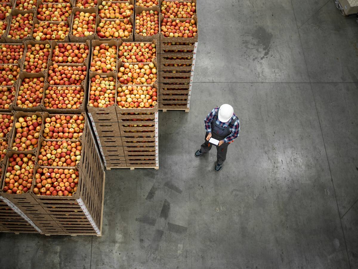 Colombia agraria: retos y oportunidades para potenciar las exportaciones agrícolas
