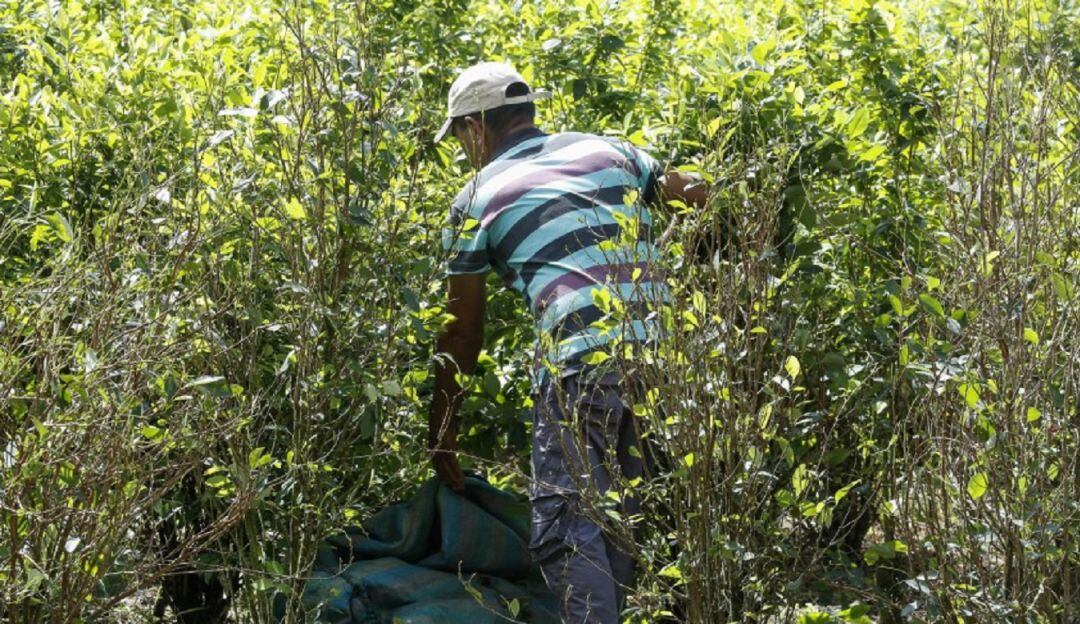Campesinos del Catatumbo. / Foto: Archivo. 