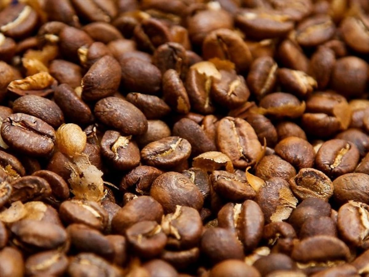 Colombia perdió 500.000 sacos de café por fenómeno de El Niño