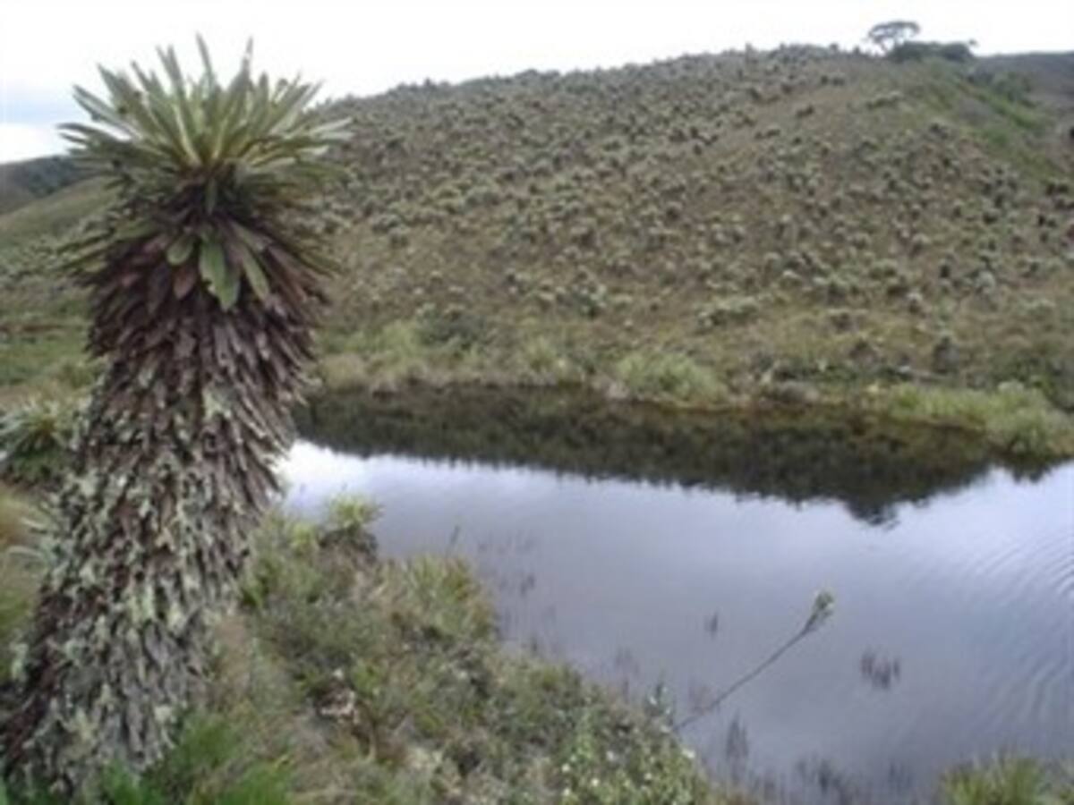 Con millonaria inversión adecuaran 68 kilómetros del río Bogotá para parques y alamedas