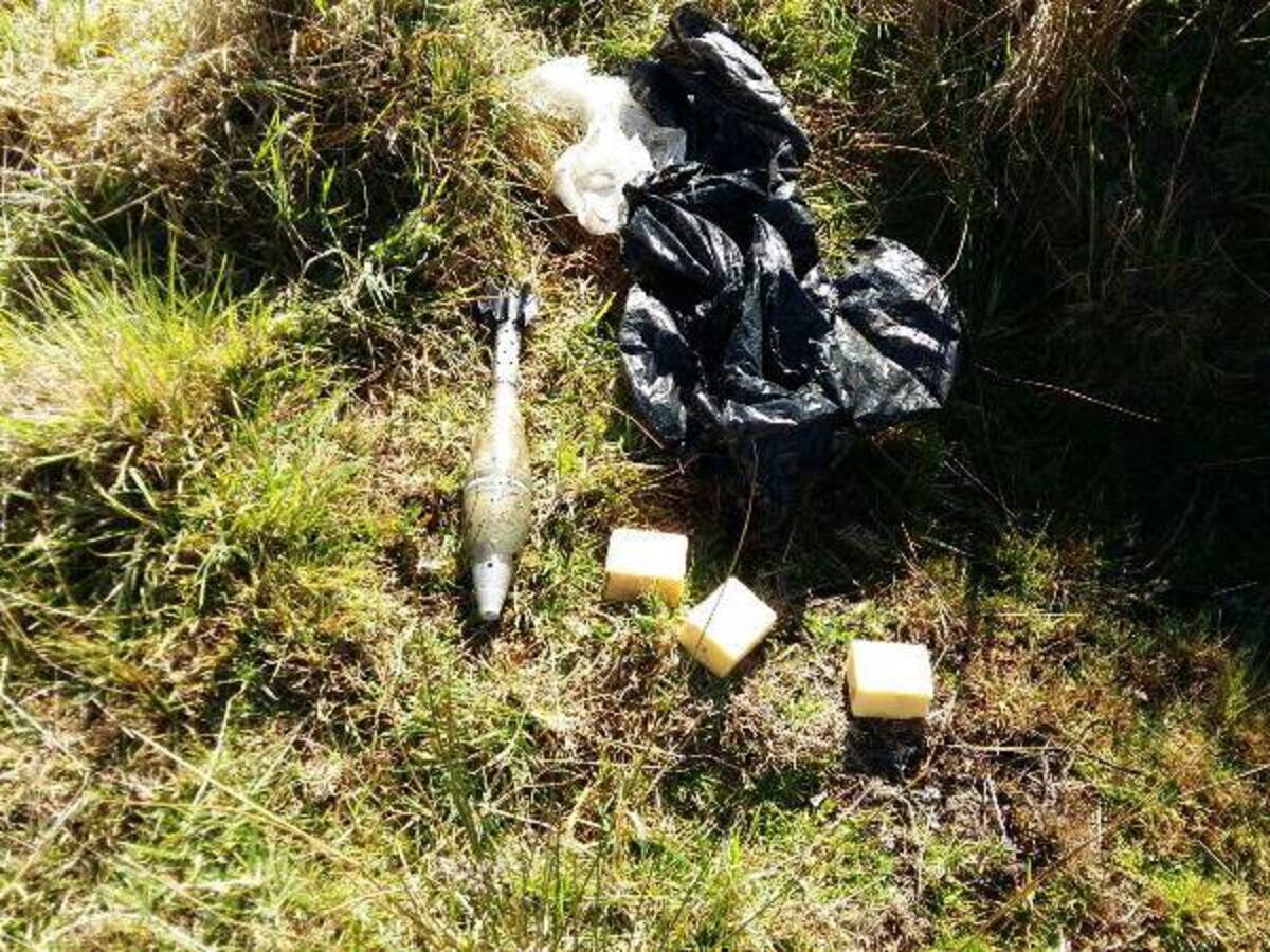 El Ejército frustró atentado contra el oleoducto trasandino