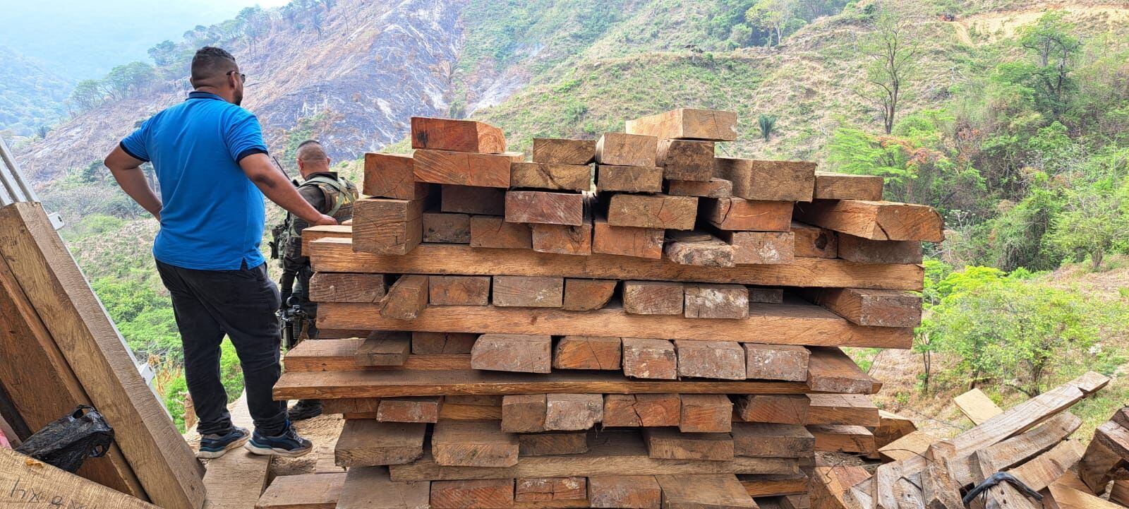 Decomisan recursos maderables extraídos ilegalmente en la Sierra Nevada de Santa Marta . Corpamag