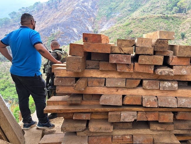 Decomisan recursos maderables extraídos ilegalmente en la Sierra Nevada de Santa Marta . Corpamag