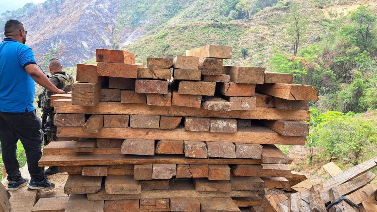 En zona rural de Ciénaga, decomisan recursos maderables extraídos de manera ilegal