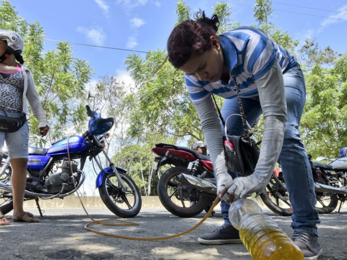Subsidio a gasolina: ¿Impulso a cultivos ilícitos en fronteras?