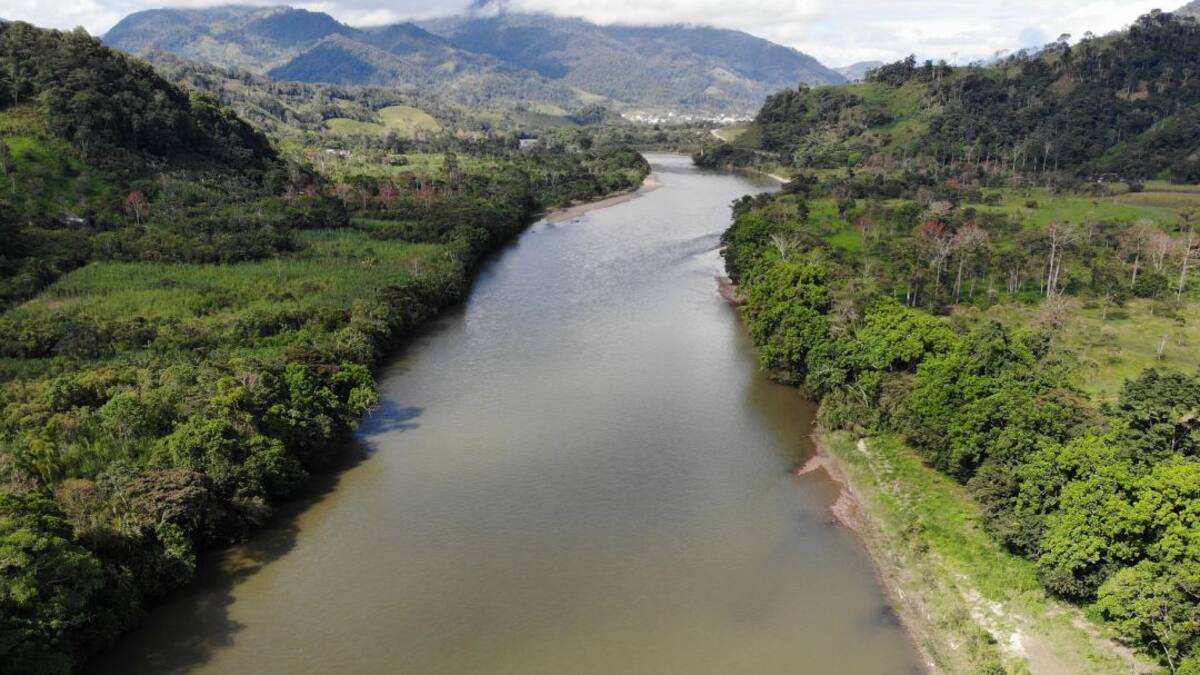 Wild Balance por la protección de la Amazonía y el Pacífico