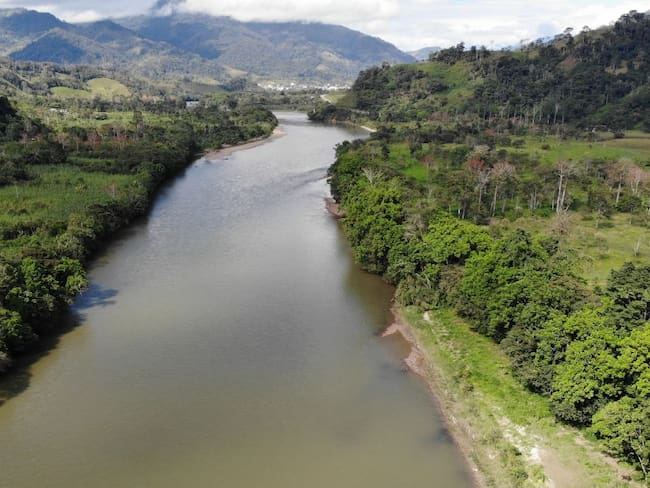 Wild Balance por la protección de la Amazonía y el Pacífico