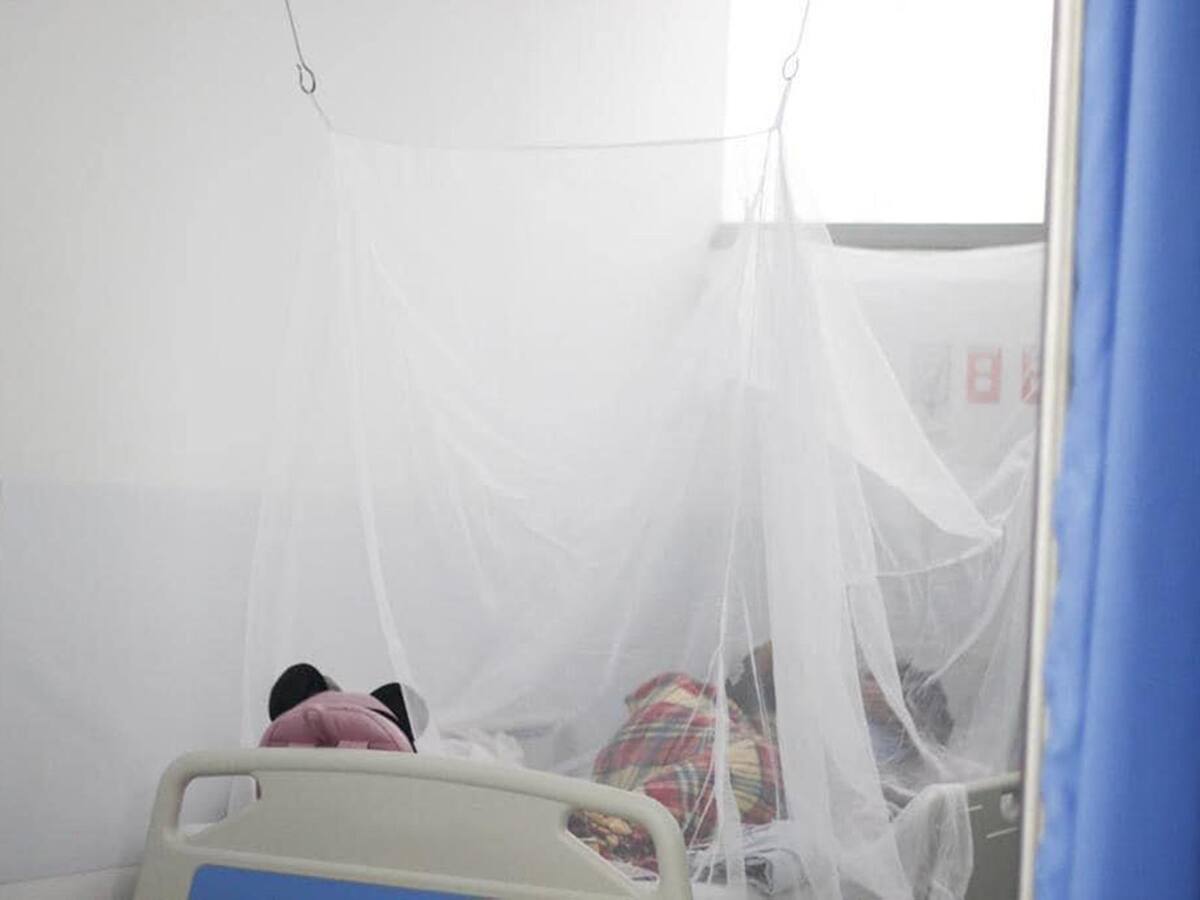 Menores de 11 años los más golpeados por el dengue en Ibagué