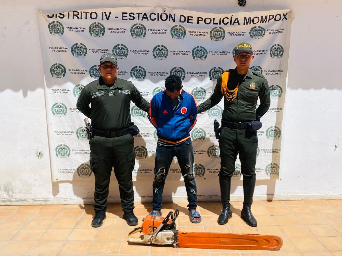 Policía capturó a hombre cuando talaba árboles de manera ilegal en Mompox, Bolívar