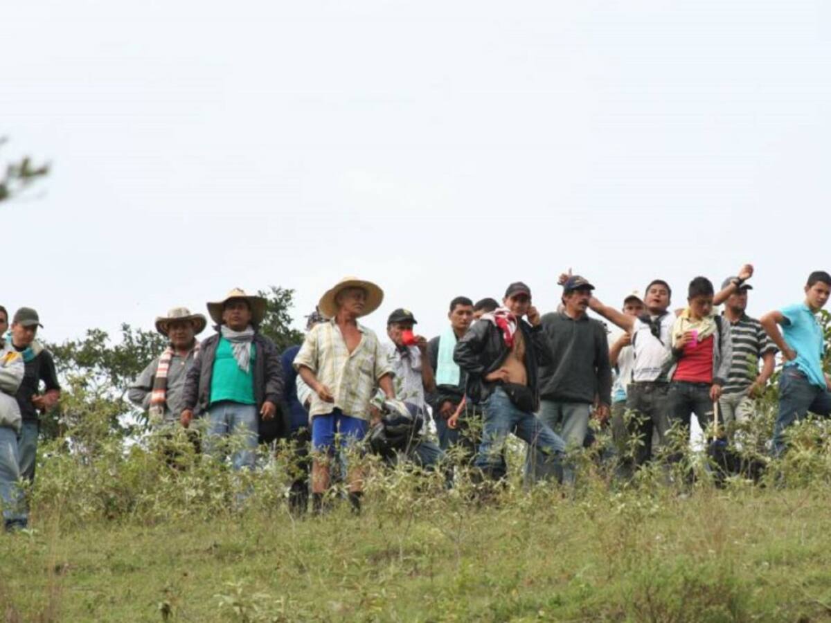 Gobierno mantendrá pagos a campesinos vinculados en Sustitución de Cultivos