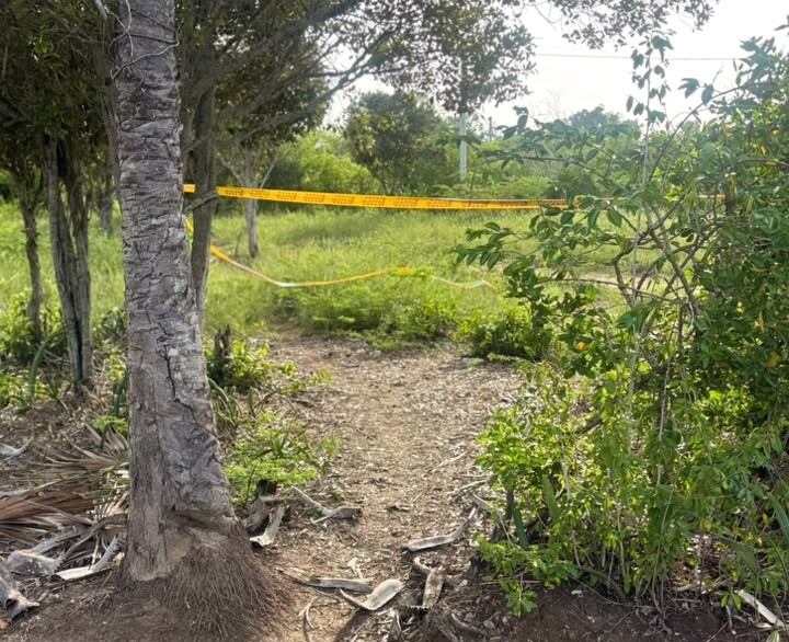 Se conocen detalles de los cuatro hombres asesinados en Puerto Rey, Cartagena