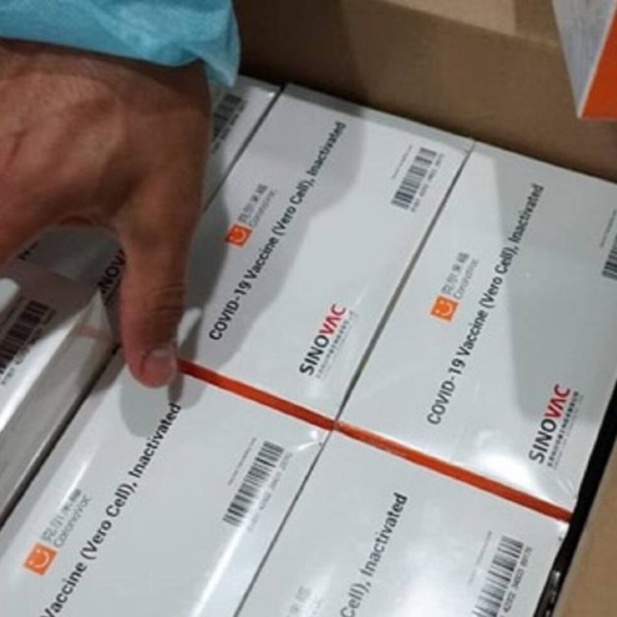 Procedente de China Llegaron a Cali 50 mil nuevas vacunas de Sinovac