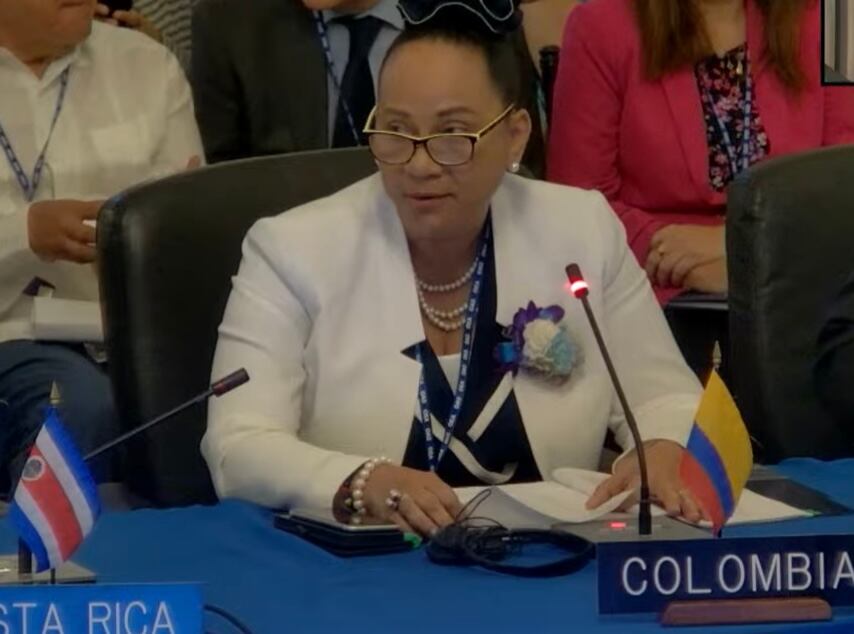 Viceministra de Asuntos Multilaterales Ekizabeth Taylor. Foto: Cortesía Washington D.C./proporcionada por Juan Silva.