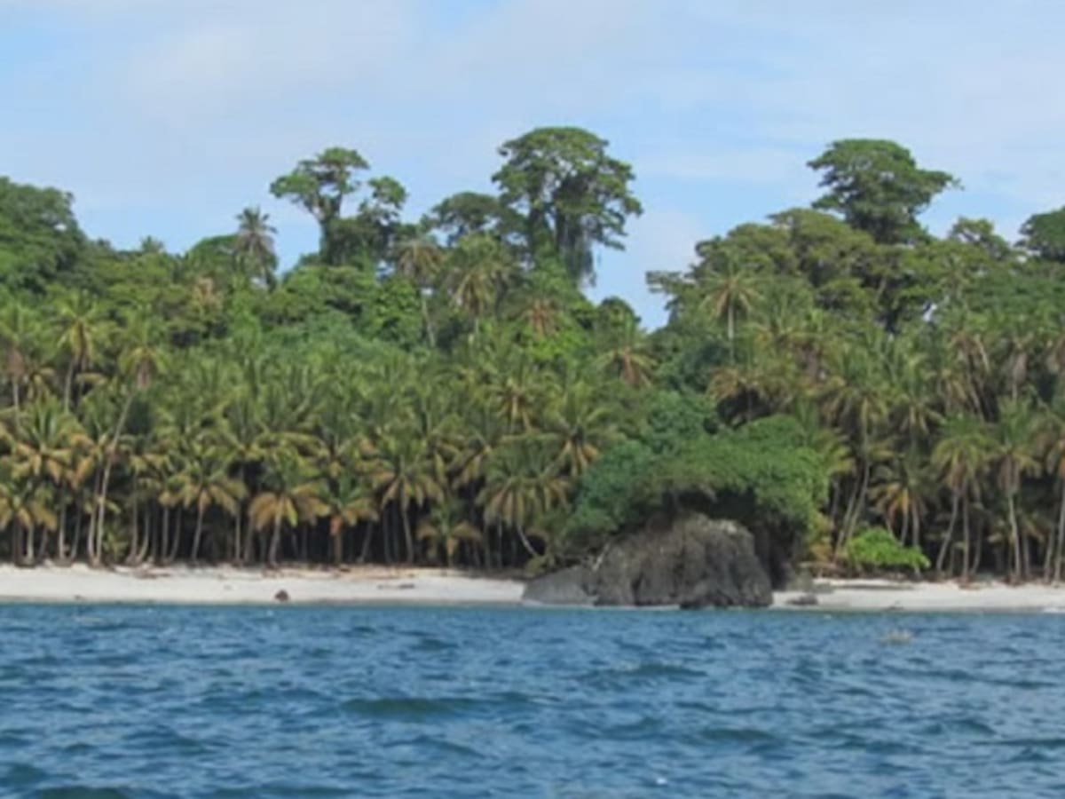 En Buenaventura, rechazan construcción de base de guardacostas en Parque Nacional Natural Gorgona