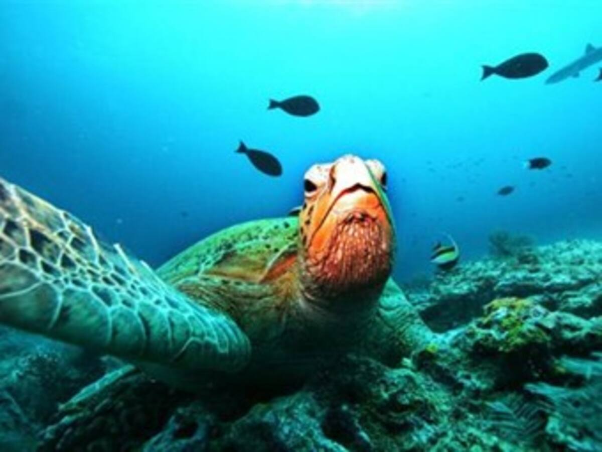 Europa y Latinoamérica trabajan por la biodiversidad